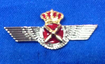 Pin Roskiski Piloto Ejército del Aire